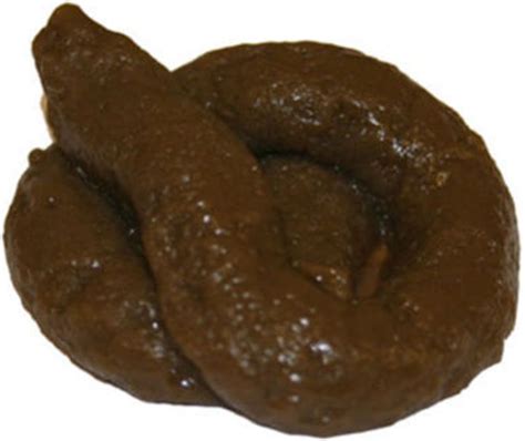 fake dog turd